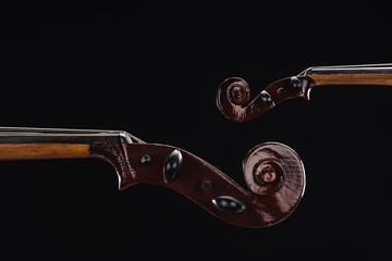 close up of classic wooden cello with bow isolated on black © LIGHTFIELD STUDIOS