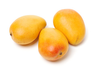 Mango on white background