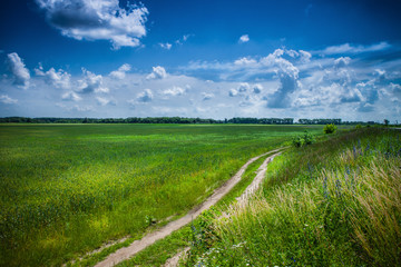 Road in a field