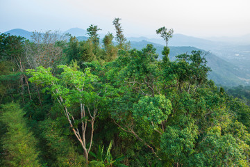 Fototapeta premium Fresh early morning in the jungle. Mountains and hills in the fog. Pastel colors of the sky. Tropical forest. Rainforest. 