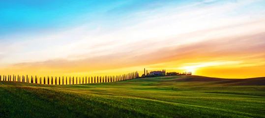 Fotobehang Prachtig magisch landschap met een veld en een lijn van cipressen in Toscane, Italië bij zonsopgang © anko_ter