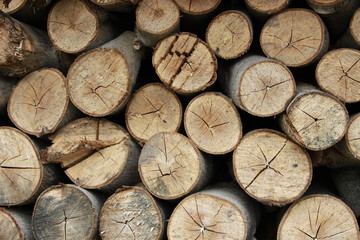 фон, древесина, дерево.