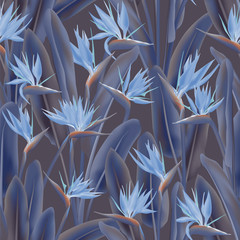 Strelitzia reginae tropische bloemen vector naadloze patroon. Boheemse tropische plant stof print ontwerp. Zuid-Afrikaanse plant tropische bloesem van kraanbloem, strelitzia. Bloemenprint van textiel.