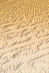 beautiful natural wavy lines carved into the sand by the wind in Bolonia, Spain in black and white 