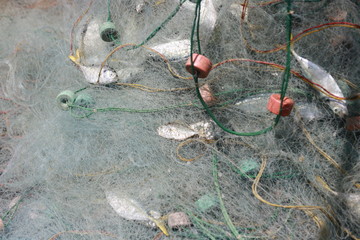 Fishermen catch sea fish with fishing nets – images  