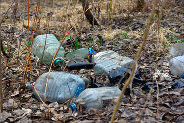A broken Tree that was chewed by a beaver.The tree is in the Park, almost in the center of the city
