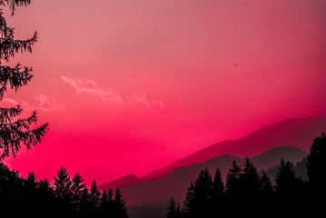 Fototapeta premium modded