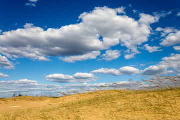 Fototapeta premium nice clouds in sky in steppe