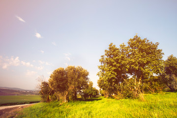 Landscape in nature of sky with cloudy and roadway through a evergreen forest. Road passing mountain. Beautiful of nature summer mountain landscape.