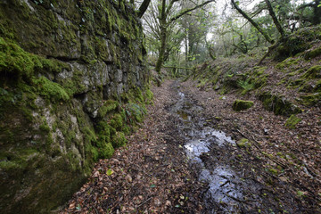 Fototapeta na wymiar Quarry workers footpath to the now abandoned granite quarry in Luxulyan Cornwall