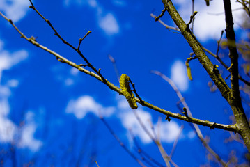 beautiful photo remake