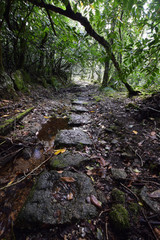 Quarry workers footpath to the now abandoned granite quarry in Luxulyan Cornwall