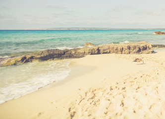 Fototapeta na wymiar Strand auf Formentera