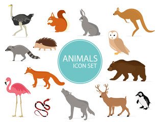 Cute animals collection