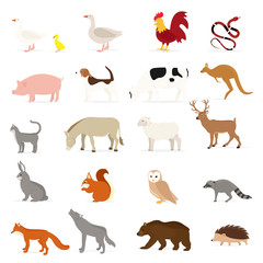 Vector animals collection