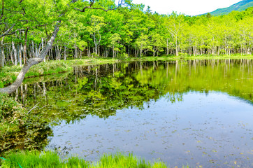 爽やかな知床五湖