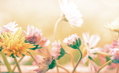 a beautiful pastel flowers background, spring bouquet design