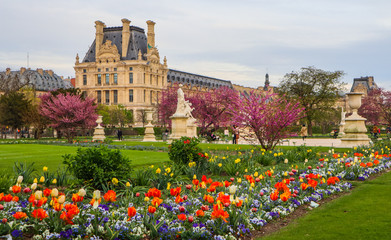 Merveilleux printemps jardin des Tuileries et vue au Louvre Paris France. avril 2019.