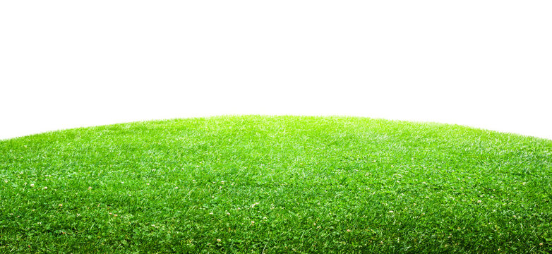 a green grass isolated background