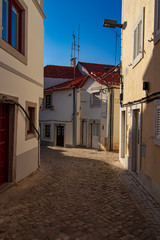 houses and buildings and their architecture