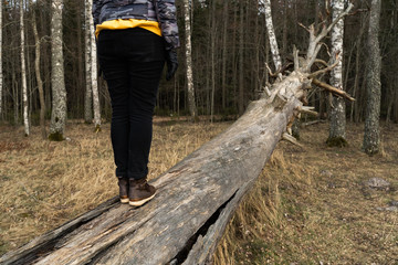 Woman climbing on a fallen tree in a forest at the beach near the Baltic Sea