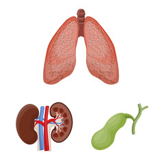 Vector illustration of body and human sign. Set of body and medical stock symbol for web.