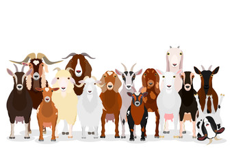 various goats group