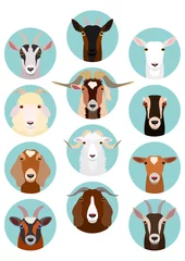 Papier Peint photo Ferme ensemble de têtes de chèvre
