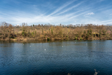 Cycleway along the Adda river