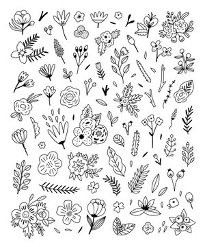 Flowers hand drawn vector set on white background. Outline blossoms and floral plants illustrations