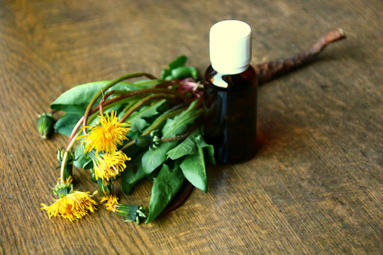 naturheilkunde l&ouml;wenzahn
