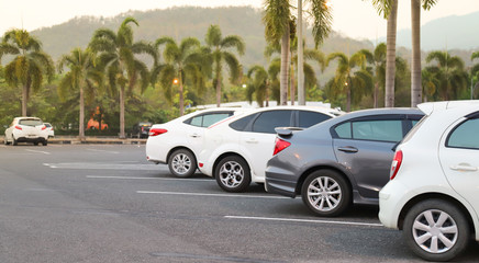 Closeup of rear, back side of white car with  other cars parking in outdoor parking lot with natural background in twilight evening. 