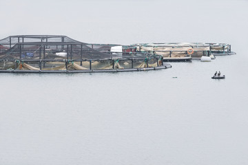 Fish farm salmon nets cages floats in sea water coast environment organic farming at Loch Melfort Arygll Scotland UK