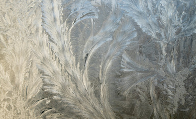 Frosty christmas pattern at a winter window glass. Ice pattern on window.