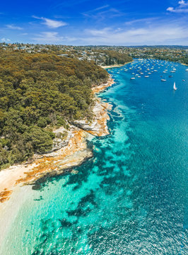 Balgowlah Heights Coastal vertical panorama