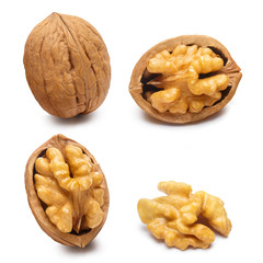 Set of delicious walnuts, isolated on white background
