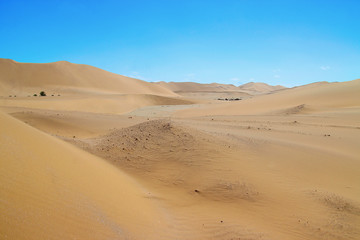 Fototapeta na wymiar Beautiful Namib Desert. Africa