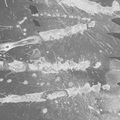 Silver, gray wet abstract paint leaks and splashes texture on white watercolor paper background. Natural organic shapes and design.