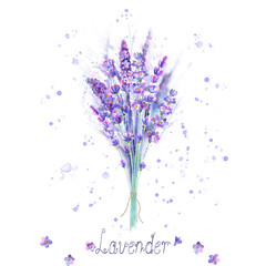 Watercolor lavender bouquet. Lavender flowers, plants and watercolour splashes on white background