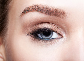 Obraz premium Closeup macro shot of blue human woman eye