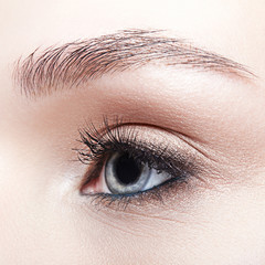 Obraz premium Closeup macro shot of blue human woman eye