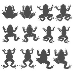 Set of black and white illustrations with tree and river frogs. Isolated vector objects on white background.