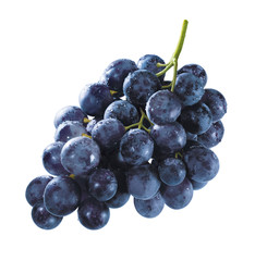 Fototapeta premium Blaue Weintrauben