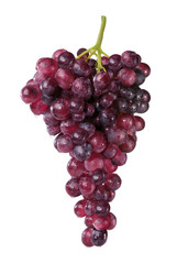 Rote Weintrauben
