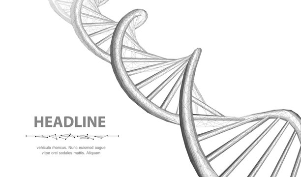 DNA. Abstract 3d polygonal wireframe dna molecule helix spiral on white background.