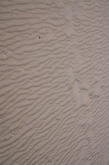 Traces from the waves in the sand on the beach of the Gulf of Riga.