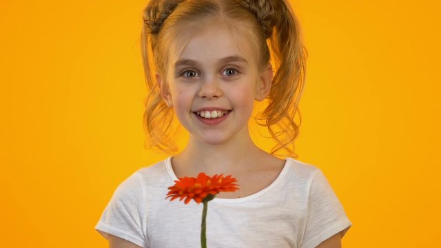 Cute blond kid looking at red golden-daisy rejoicing present from secret admirer