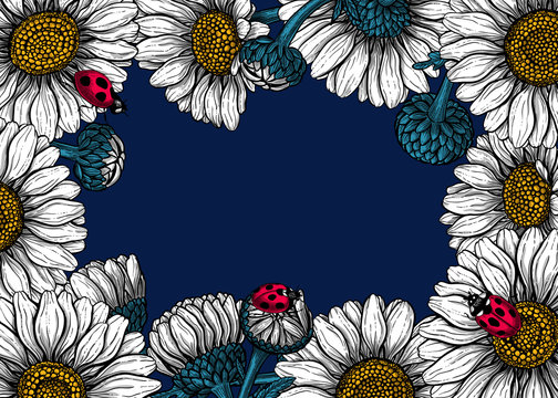Daisy flowers and ladybugs forming frame on dark blue background with space for text