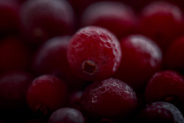Frozen cranberries in sugar powder close up