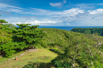Fototapeta na wymiar view from a hill in a tropical green forest in sunny weather